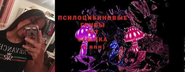 дживик Дмитровск